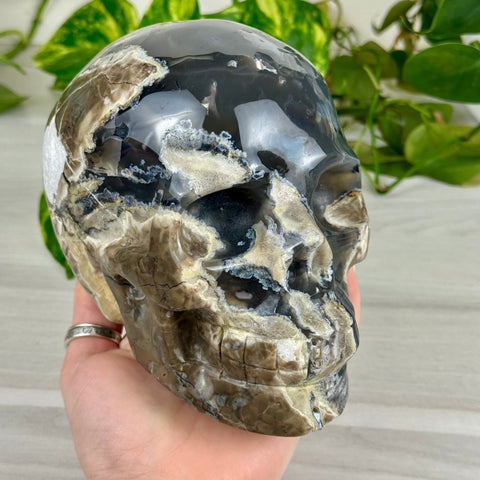 Volcano Agate Skull (UV Reactive) B 2 - Kenna's Crystals from TikTok