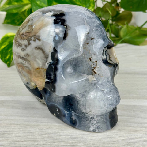 Volcano Agate Skull (UV Reactive) D 4 - Kenna's Crystals from TikTok