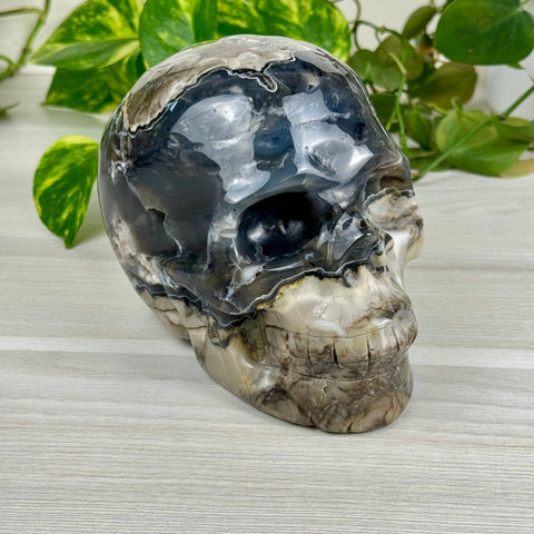 Volcano Agate Skull (UV Reactive) E 5 - Kenna's Crystals from TikTok