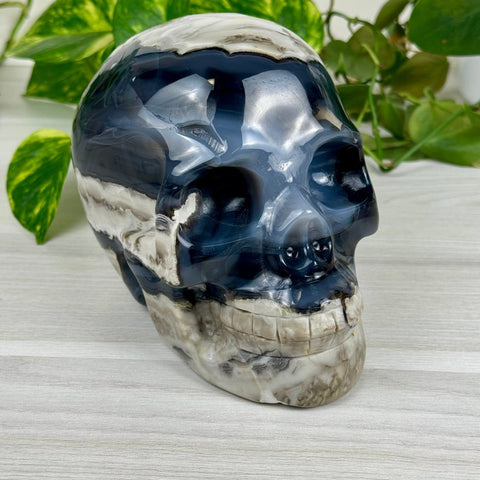 Volcano Agate Skull (UV Reactive) F 6 - Kenna's Crystals from TikTok