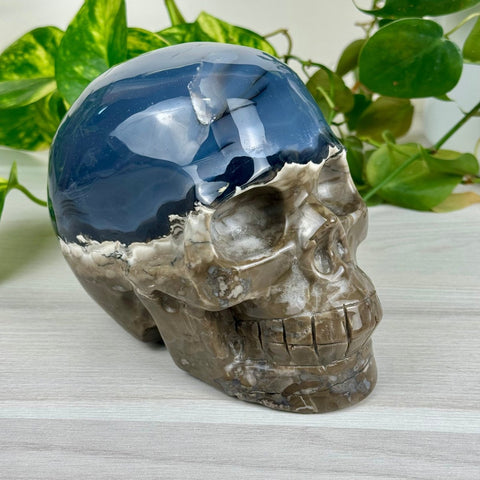 Volcano Agate Skull (UV Reactive) K 11 - Kenna's Crystals from TikTok