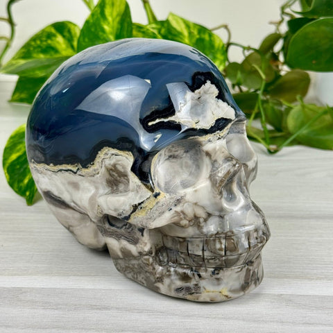 Volcano Agate Skull (UV Reactive) L 12 - Kenna's Crystals from TikTok