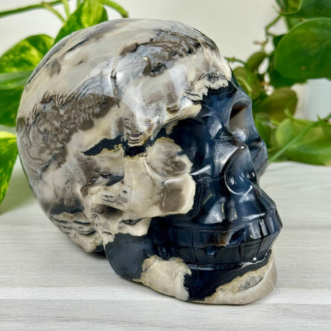 Volcano Agate Skull (UV Reactive) M 13 - Kenna's Crystals from TikTok