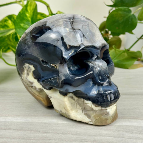 Volcano Agate Skull (UV Reactive) N 14 - Kenna's Crystals from TikTok