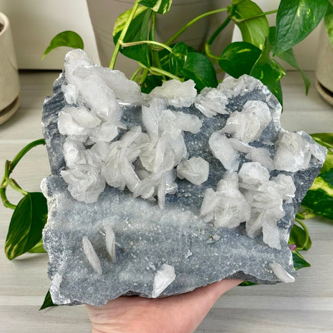 Wedding Rose Calcite Specimen (UV Reactive) A 1 - Kenna's Crystals from TikTok
