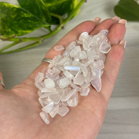 White Moonstone Chips (100g) 2 - Kenna's Crystals from TikTok