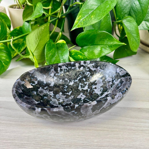XL Indigo Gabbro Bowl 111 1 - Kenna's Crystals from TikTok