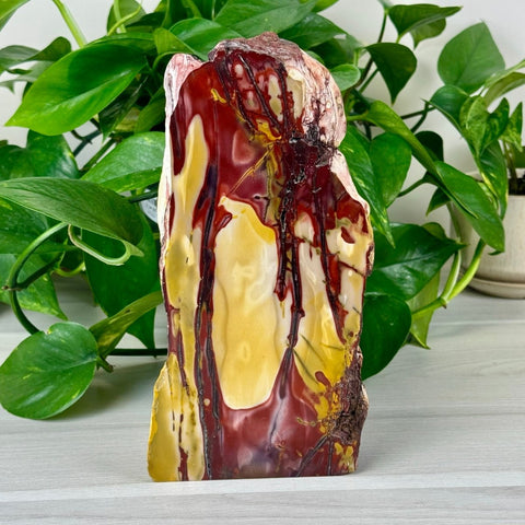 XL Mookaite Jasper Free Form A 1 - Kenna's Crystals from TikTok