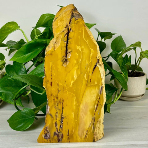 XL Mookaite Jasper Free Form B 2 - Kenna's Crystals from TikTok