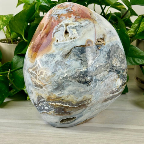 XL Sea Jasper Free Form 4 - Kenna's Crystals from TikTok
