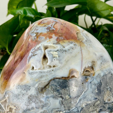 XL Sea Jasper Free Form 3 - Kenna's Crystals from TikTok