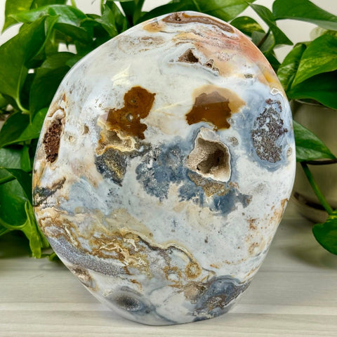 XL Sea Jasper Free Form 1 - Kenna's Crystals from TikTok
