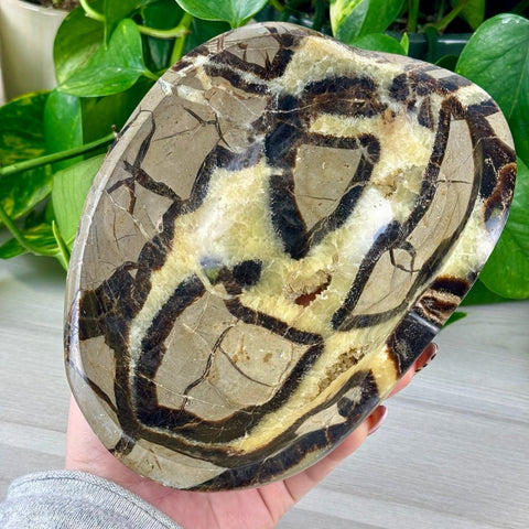 XL Septarian Bowl 111 6 - Kenna's Crystals from TikTok