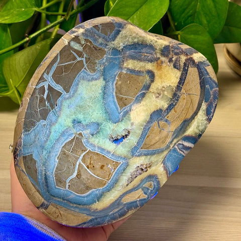 XL Septarian Bowl 111 7 - Kenna's Crystals from TikTok