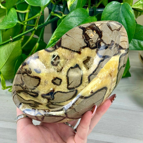 XL Septarian Bowl 122 5 - Kenna's Crystals from TikTok