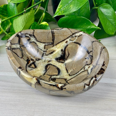 XL Septarian Bowl 144 4 - Kenna's Crystals from TikTok
