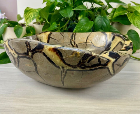 XL Septarian Bowl 22 9 - Kenna's Crystals from TikTok