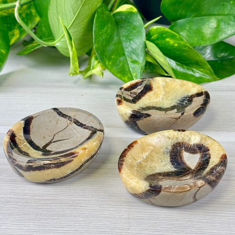 XL Septarian Bowl 22 8 - Kenna's Crystals from TikTok