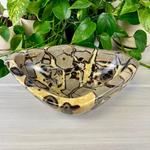 XL Septarian Bowl 572 3 - Kenna's Crystals from TikTok