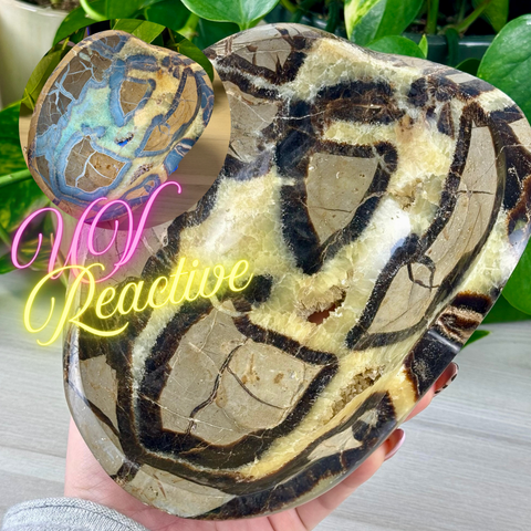 XL Septarian Bowl 844 1 - Kenna's Crystals from TikTok
