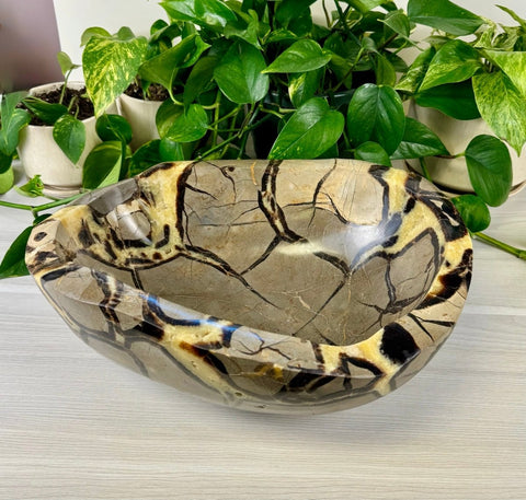 XL Septarian Bowl 844 2 - Kenna's Crystals from TikTok