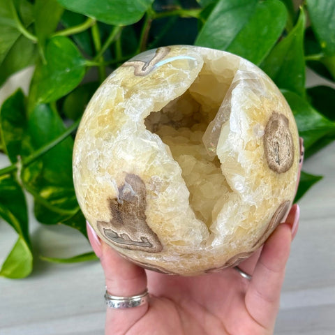XL Septarian Sphere 1 - Kenna's Crystals from TikTok