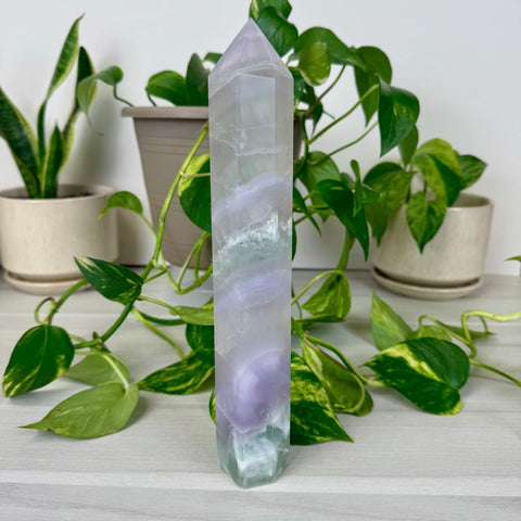 XL Yttrium Fluorite Tower 122 3 - Kenna's Crystals from TikTok