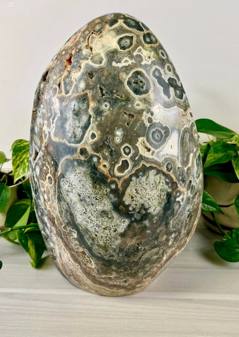 XXXL Sea Jasper Free Form B 3 - Kenna's Crystals from TikTok