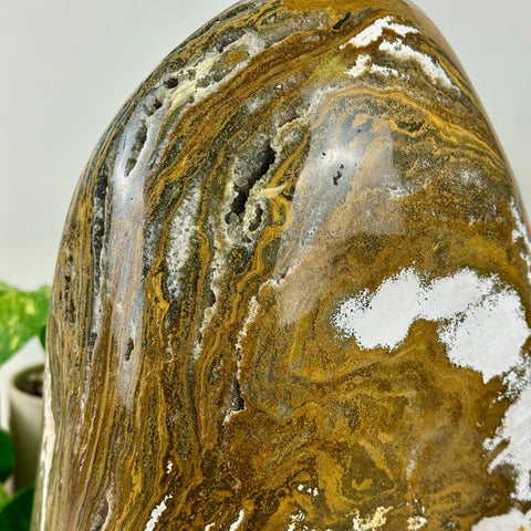 XXXL Sea Jasper Free Form B 4 - Kenna's Crystals from TikTok