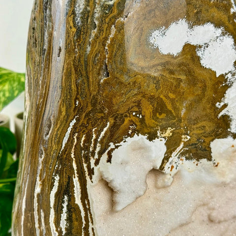 XXXL Sea Jasper Free Form B 5 - Kenna's Crystals from TikTok