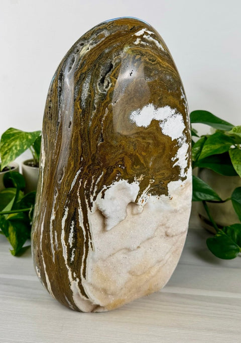 XXXL Sea Jasper Free Form B 2 - Kenna's Crystals from TikTok