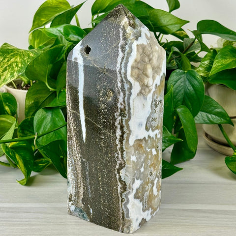 XXXL Sea Jasper Tower C (Imperfect) 1 - Kenna's Crystals from TikTok