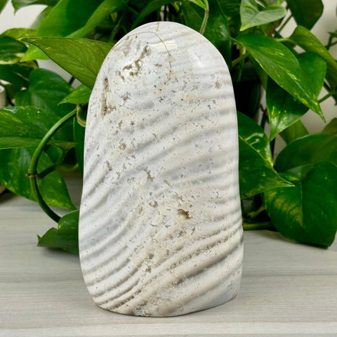 Zebra Agate Free Form 165 5 - Kenna's Crystals from TikTok