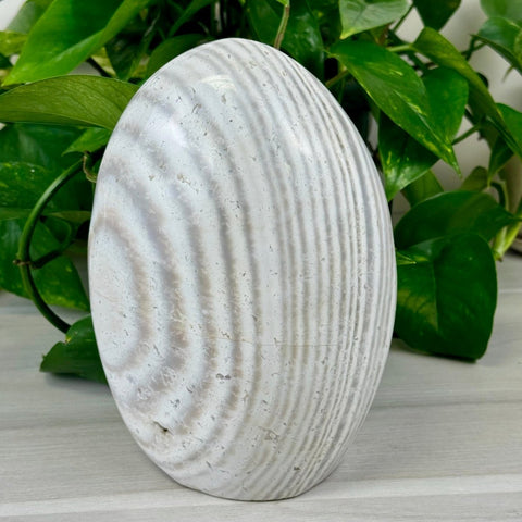 Zebra Agate Free Form 255 1 - Kenna's Crystals from TikTok