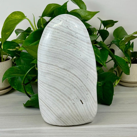 Zebra Agate Free Form 425 7 - Kenna's Crystals from TikTok