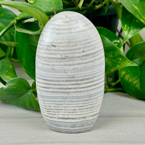 Zebra Agate Free Form 66 3 - Kenna's Crystals from TikTok