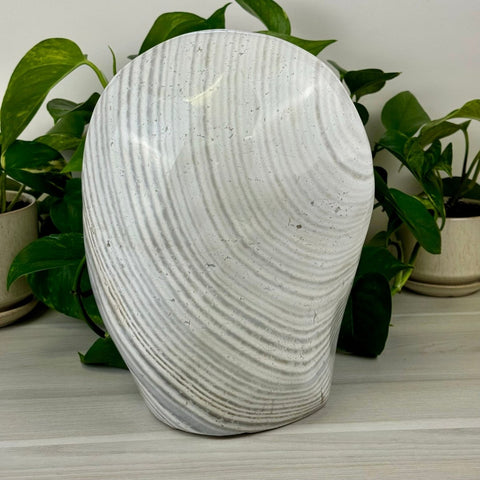 Zebra Agate Free Form 685 8 - Kenna's Crystals from TikTok